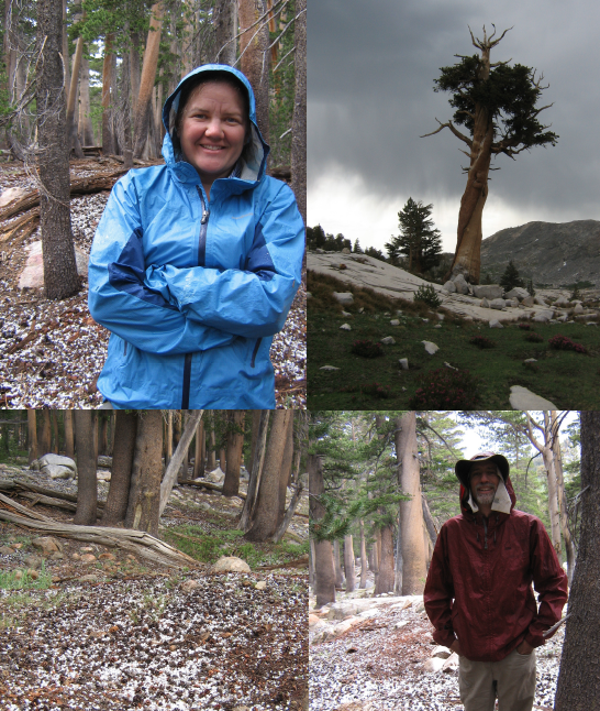 Screen_Shot_2013-08-05_at_8_35_13_PM