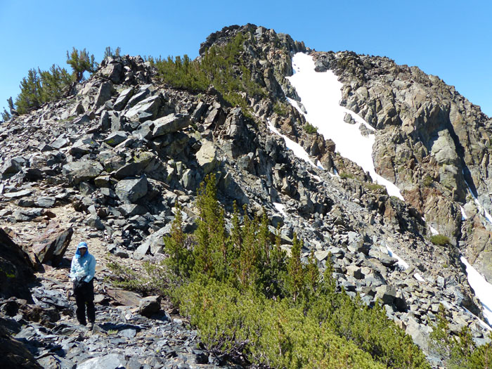 View_of_summit